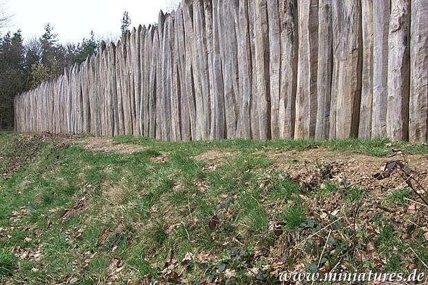 Hewn palisades of the Roman Limes Germanicus at Fort Zugmantel.